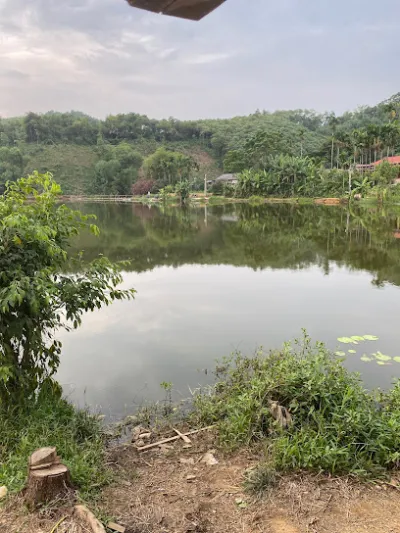 hồ câu: tuấn cá - trại câu cá