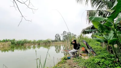 hồ câu xuân hoàn dv giải trí - nghỉ dưỡng - câu lạc bộ câu cá