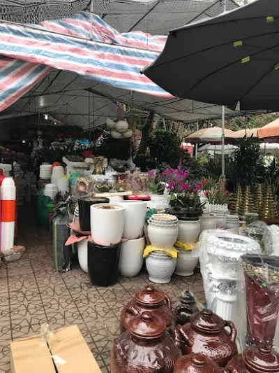 hoa cây cảnh tuyên quang - chợ hoa