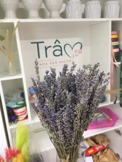 hoa khô hà tĩnh - cửa hàng hoa khô