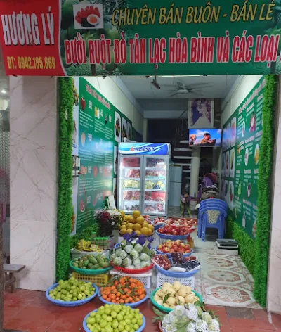 hoa quả hương lý hải dương - cửa hàng bán buôn trái cây