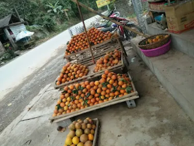 hoa quả sạch - cửa hàng rau quả