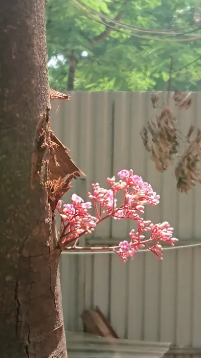 hoa trong lá - cửa hàng