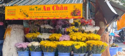 hoa tươi bạc liêu - hoa tươi an châu - chợ hoa