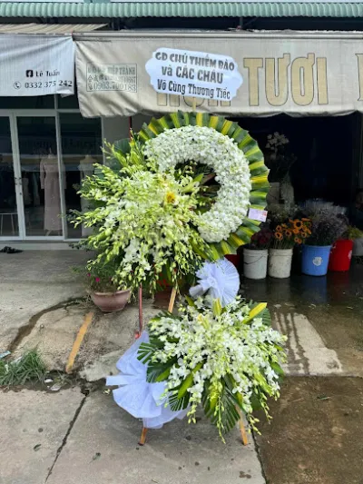 hoa tươi hồng hạnh - văn hải( long thành ) - cửa hàng hoa