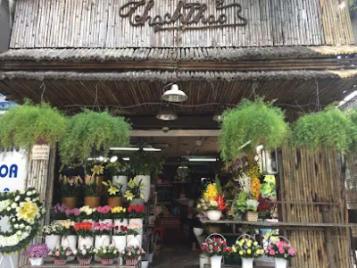 hoa tươi thạch thảo - cửa hàng hoa