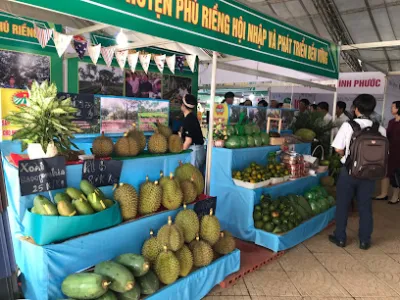 hợp tác xã cây ăn trái nông thành phát - cưa hang nông san