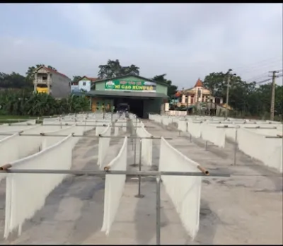 hợp tác xã mì gạo hùng lô - cung cấp sản xuất thực phẩm