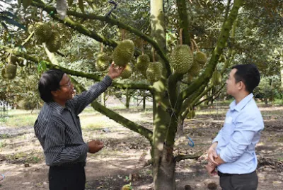 hợp tác xã thần nông - tổ chức nông nghiệp