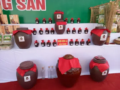 htx rượu men lá kiên thành - cửa hàng rượu