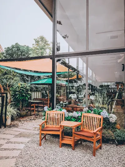 hydrangea - cẩm tú cầu - trà  hoa - quán cà phê