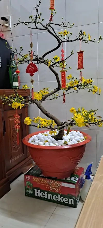 in tem nhãn an phát - cửa hàng in ấn