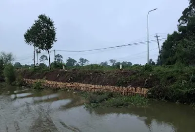 khai thác  mua bán cừ tràm tư tình - cửa hàng vật liệu xây dựng