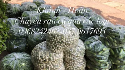 khánh - hoàn chuyên rau củ quả các loại - nhà bán buôn rau củ quả khánh - hoàn chuyên rau củ quả các loại - nhà bán buôn rau củ quả