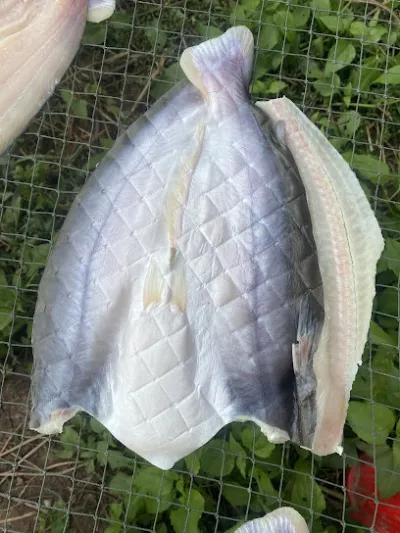 khô cá dứa một nắng ông mười - cửa hàng bán thực phẩm đặc sản