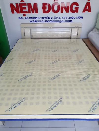 kho nệm giá rẻ cà mau - cửa hàng bán đệm