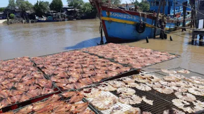 khô ngon vàm láng - valafood - cửa hàng thực phẩm thiên nhiên