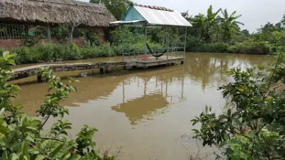 khu du lịch sinh thái - vườn ổi tám ngoắc - vườn cây ăn quả