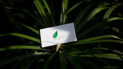 lá trà medical spa - cn nguyễn kiệm - spa y tế