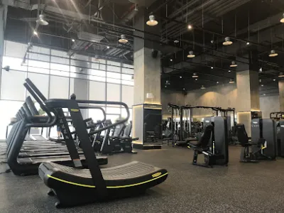level fitness - câu lạc bộ thể dục level fitness - câu lạc bộ thể dục