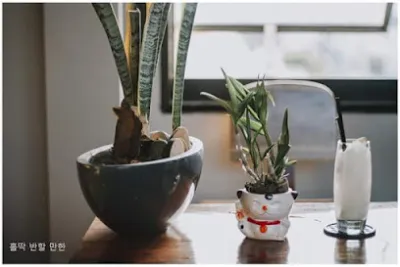 lò bánh mì quốc bảo —0978570038 - tiệm bánh