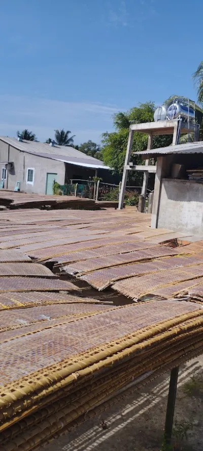 lò bánh tráng bà tư - tiệm bánh