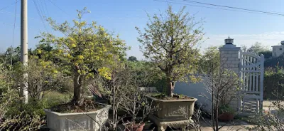 lò rượu truyền thống ngọc liễu - cửa hàng