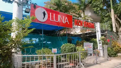 luna koi farm - cửa hàng vật nuôi luna koi farm - cửa hàng vật nuôi