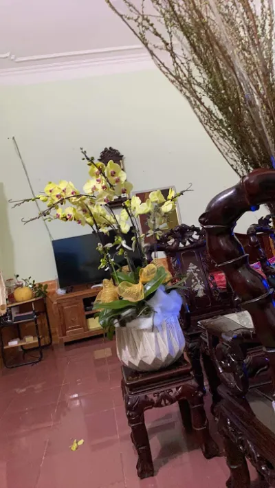 maiphuong floral - hoa tươi long biên - cửa hàng hoa