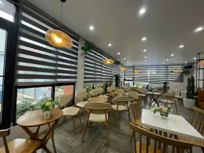 mành rèm hải phòng - rèm đăng dương - cửa hàng rèm và màn trập