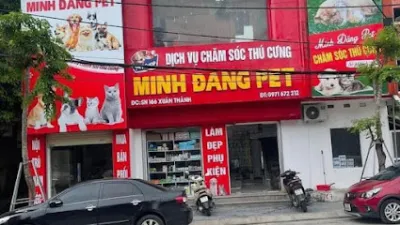 minh đăng pet - dịch vụ chăm sóc thú nuôi