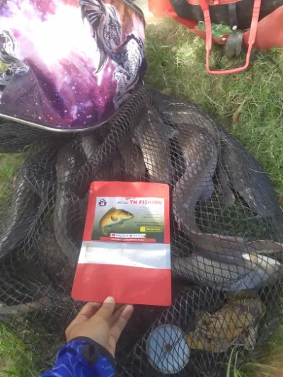 mồi câu tn fishing - cửa hàng bán mồi câu cá