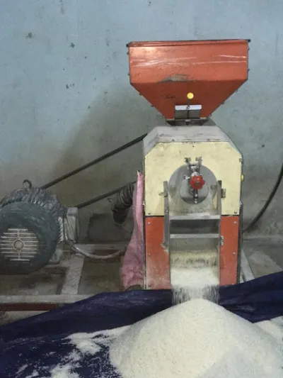 mua gạo mùa gạo sạch gạo quê giá tốt tại tam kỳ - nhà bán buôn gạo