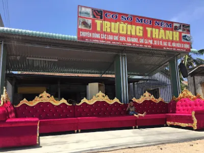 mui nệm trường thành - cửa hàng nội thất