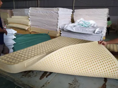 nệm sơn - nệm cao su 100% thiên nhiên - cửa hàng bán đệm nệm sơn - nệm cao su 100% thiên nhiên - cửa hàng bán đệm
