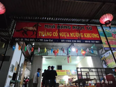 ngọc cừ thắng cố - nhà hàng
