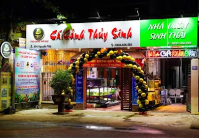 nguyen aqua - cá cảnh thủy sinh - cửa hàng cá cảnh