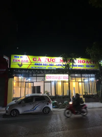 nhà hàng gà tươi tâm anh 96 trung lực - nhà hàng