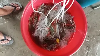 nhà hàng hoan hiên - nhà hàng hải sản
