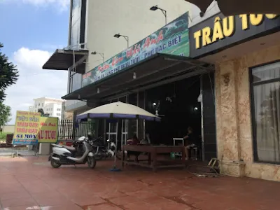 nhà hàng trâu lim hải anh - nhà hàng nhà hàng trâu lim hải anh - nhà hàng