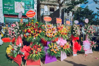 nha khoa thiện nhân luxury cơ sở 2 - phòng khám nha khoa nha khoa thiện nhân luxury cơ sở 2 - phòng khám nha khoa