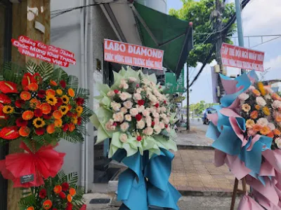 nha khoa việt ý - cần thơ - phòng khám nha khoa
