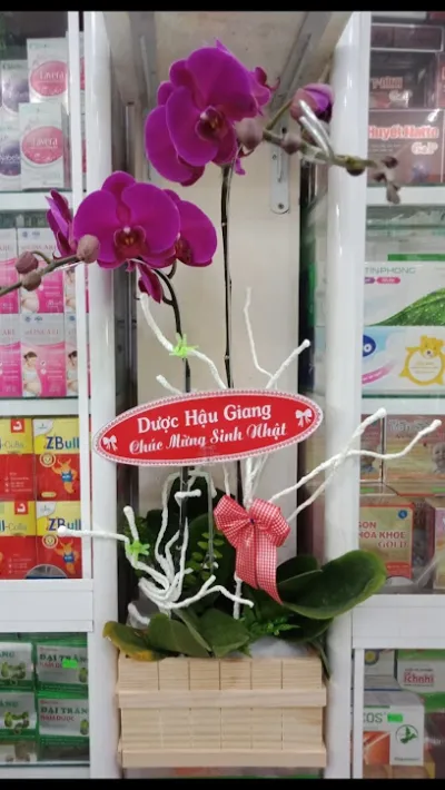 nhà thuốc hằng - hiệu thuốc