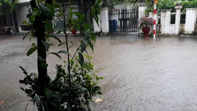 nhà thuốc tiến hà - hiệu thuốc