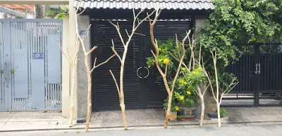 nội ngoại thất decor đạt cali - cửa hàng nội thất