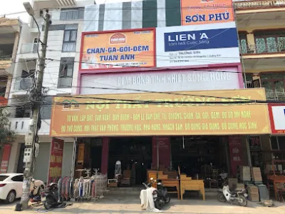 nội thất trường sơn - cửa hàng nội thất