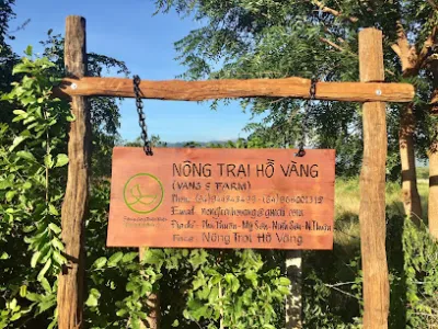 nông trại hồ vàng - vườn nho