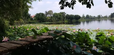 nông trại sinh thái hữu cơ tâm an - trang trại hữu cơ