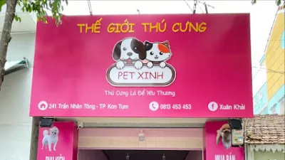 pet xinh shop - tp.kon tum - cửa hàng vật nuôi