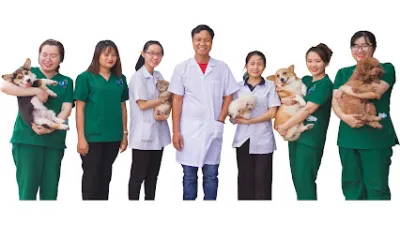 petcare dĩ an - chăm sóc thú cưng - bệnh viện thú y